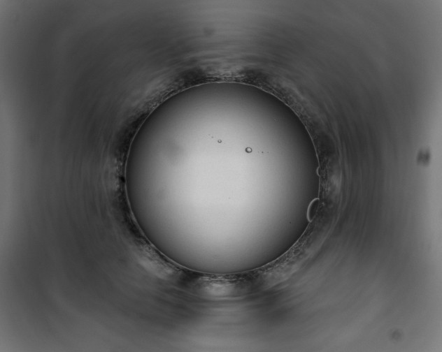 X0000101150658200807071151