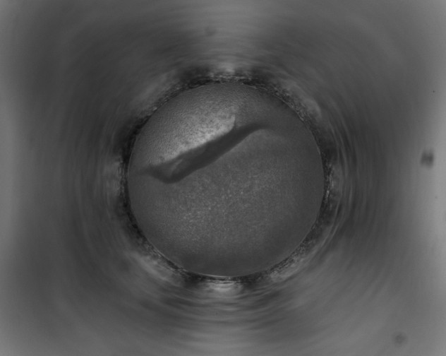 X0000101150659200807071151