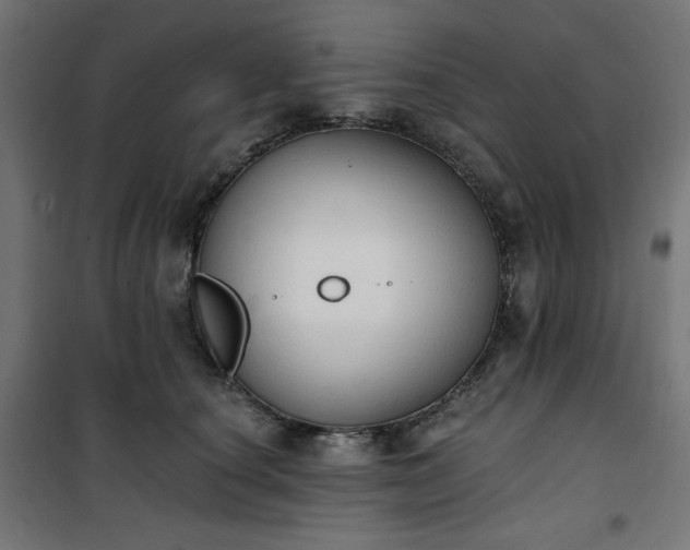 X0000101150660200807071151