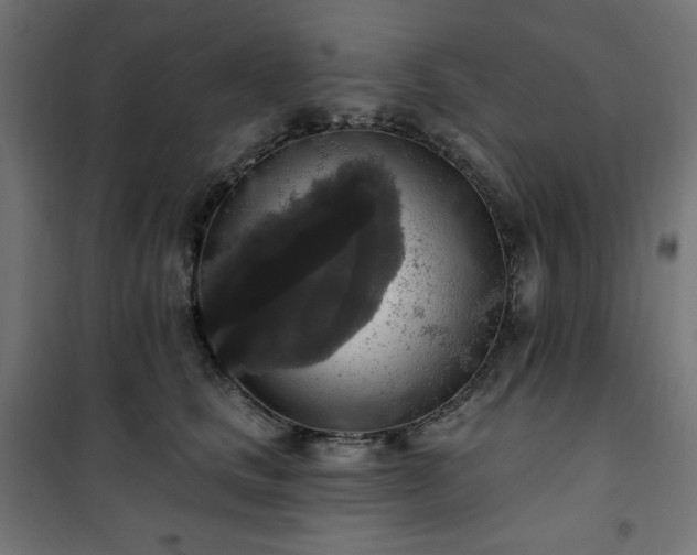 X0000101150661200807071151