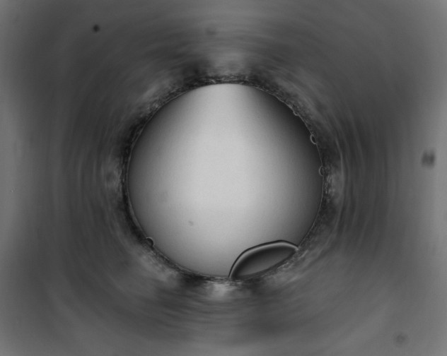 X0000101150662200807071151