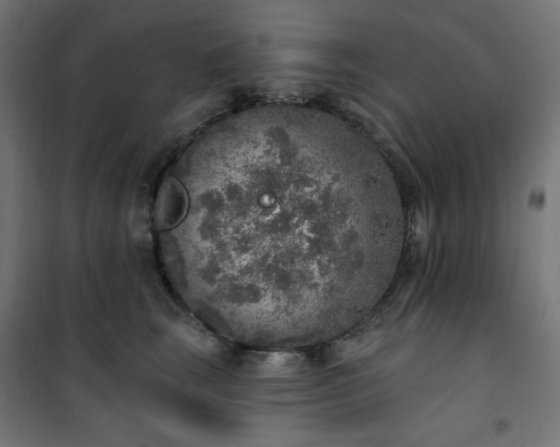 X0000101150663200807071151