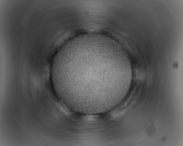 X0000101150664200807071151