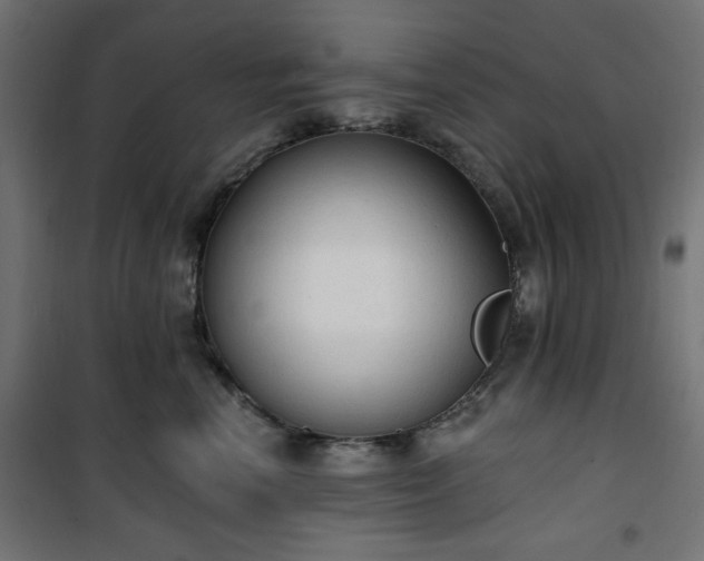 X0000101150666200807071151