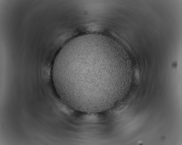 X0000101150668200807071151