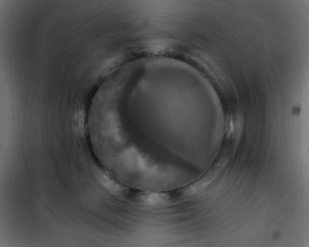 X0000101150670200807071151