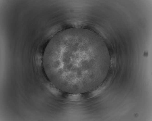 X0000101150671200807071151