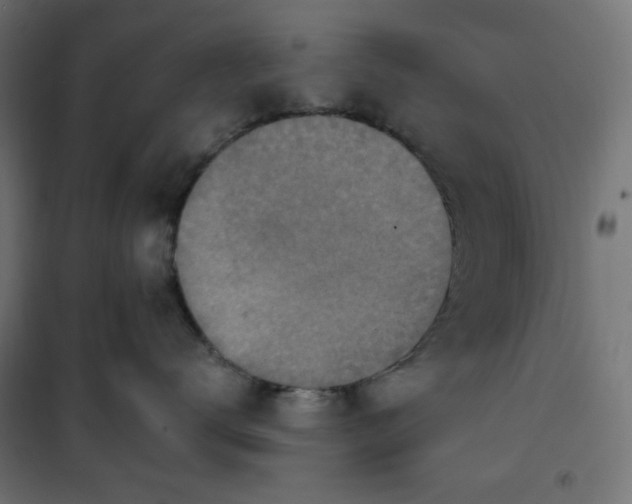 X0000101150672200807071151