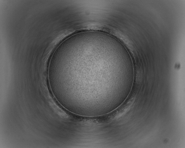 X0000101150673200807071150