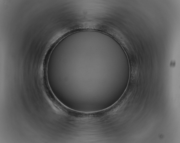 X0000101150674200807071150