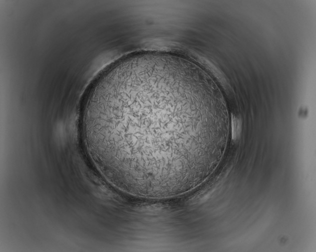 X0000101150675200807071150