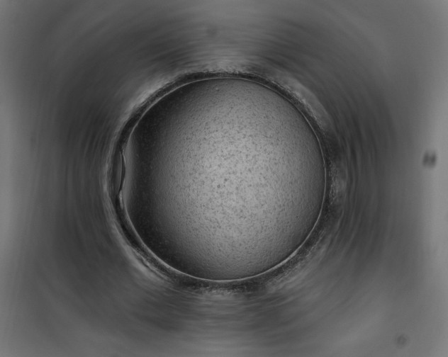 X0000101150677200807071150