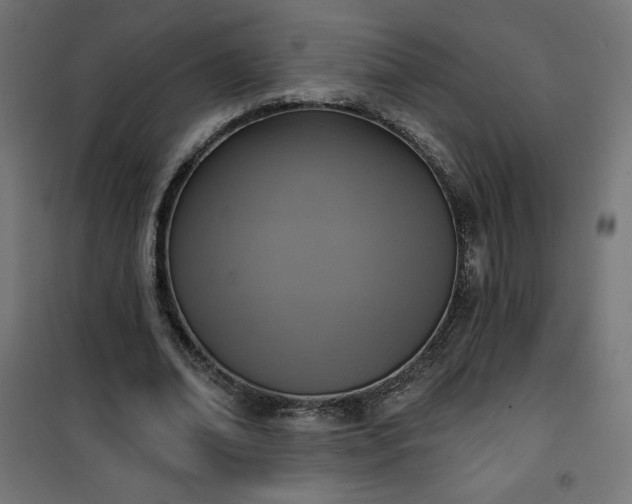 X0000101150678200807071150