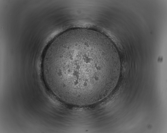 X0000101150679200807071150