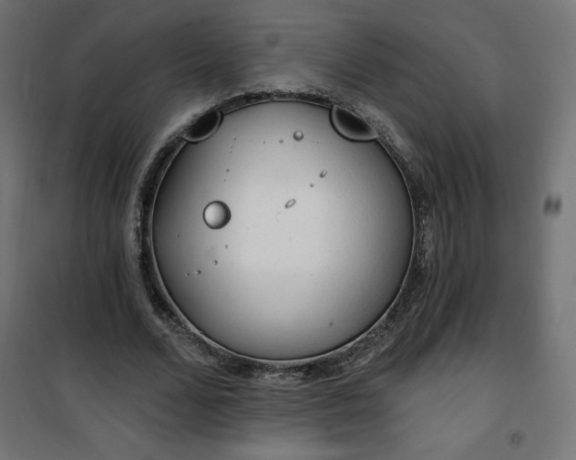 X0000101150680200807071150