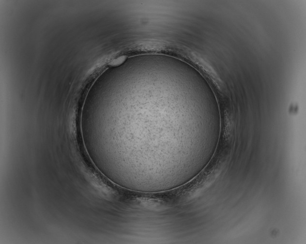 X0000101150681200807071150