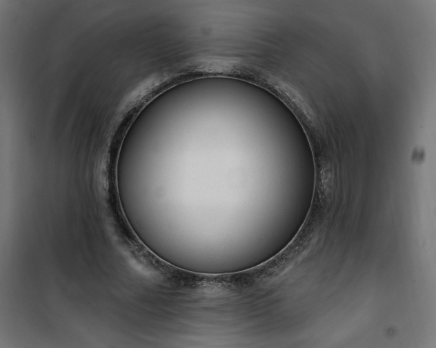 X0000101150682200807071150