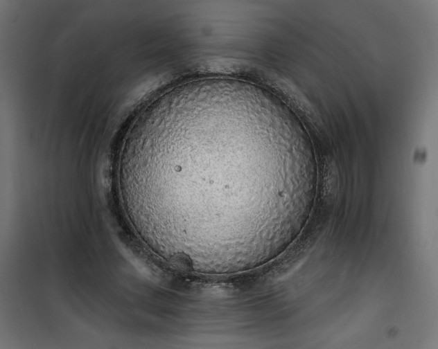 X0000101150683200807071150