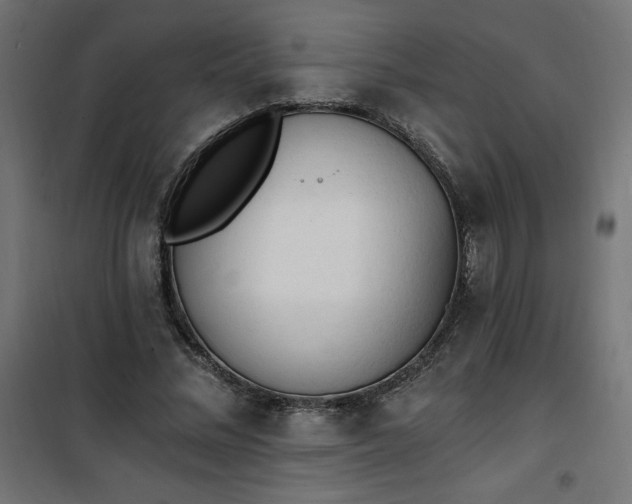 X0000101150684200807071150