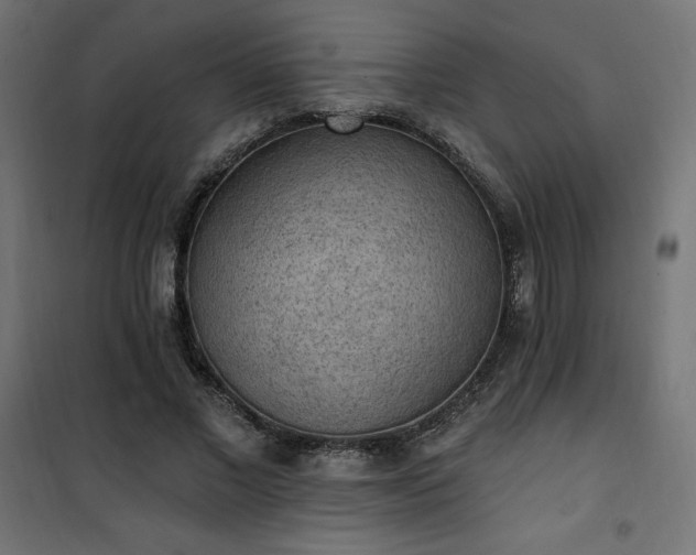 X0000101150685200807071150