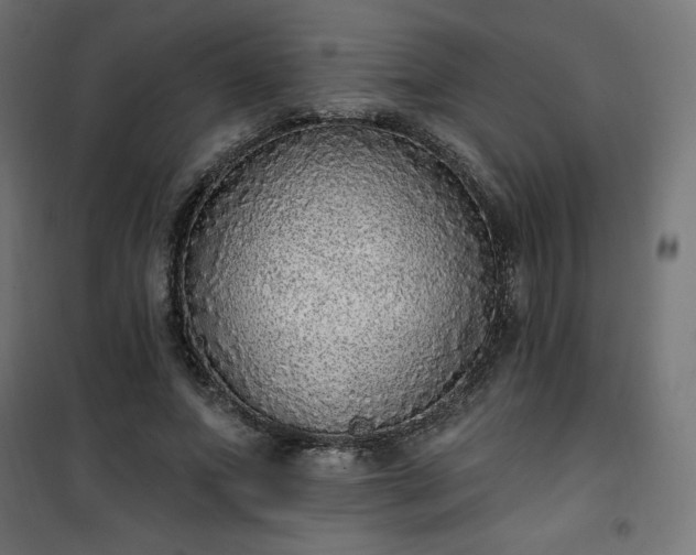 X0000101150687200807071150