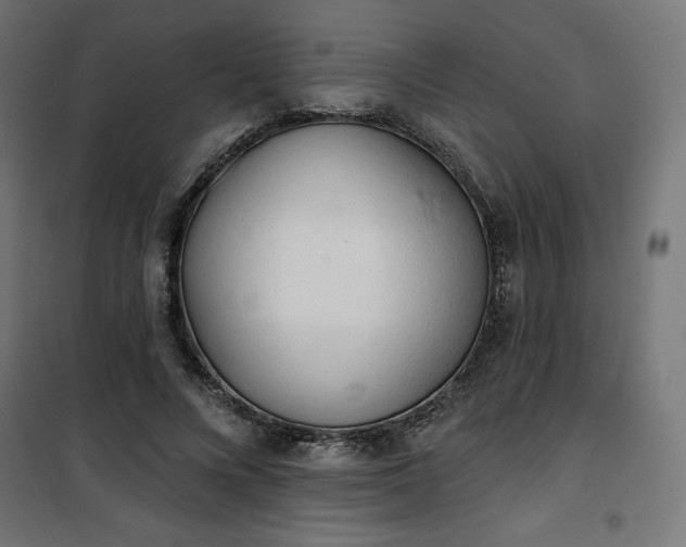 X0000101150688200807071150