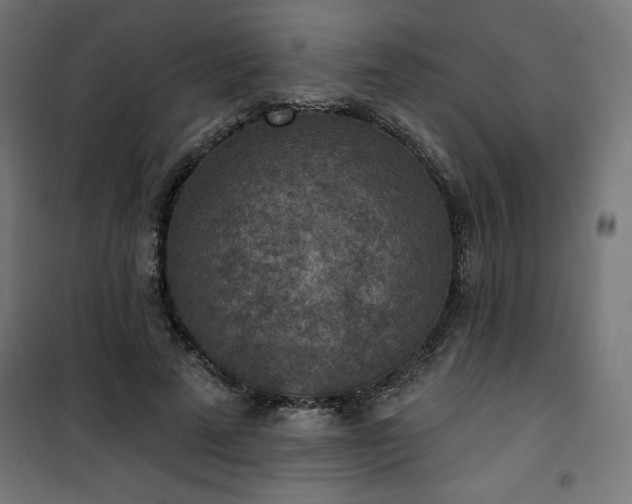 X0000101150689200807071150