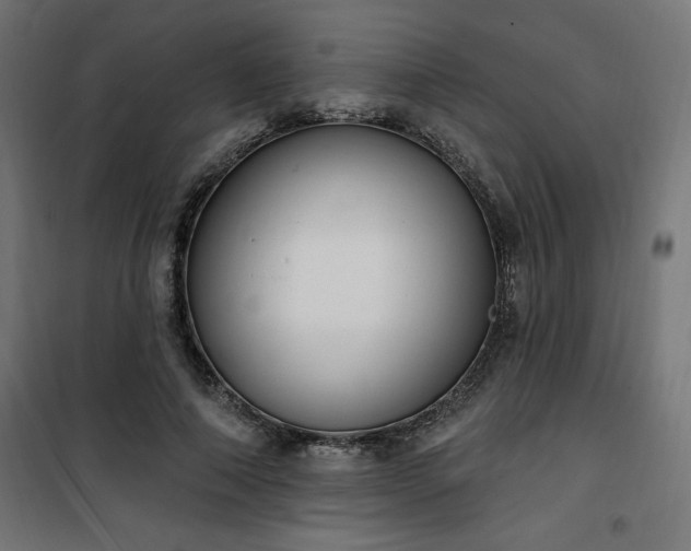 X0000101150690200807071150