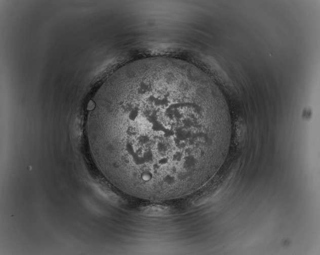 X0000101150691200807071150