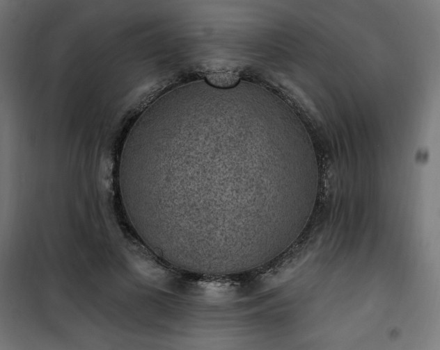 X0000101150693200807071150