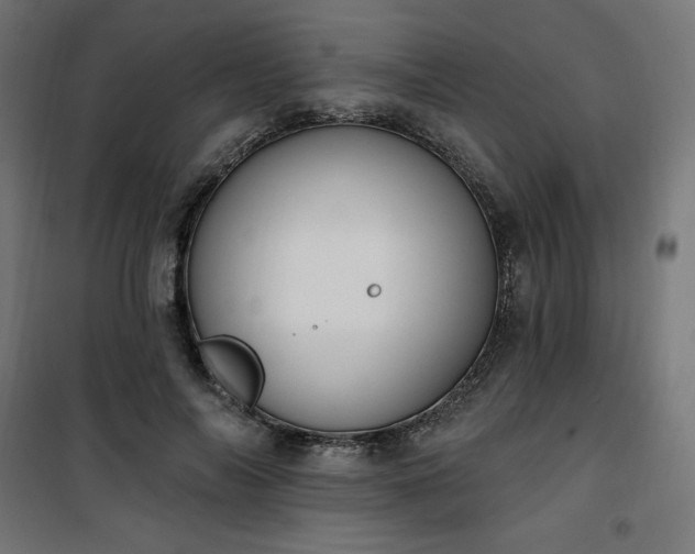 X0000101150694200807071150