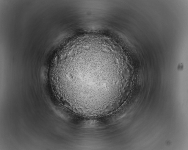 X0000101150695200807071150