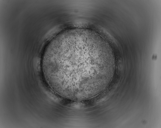 X0000101150696200807071150