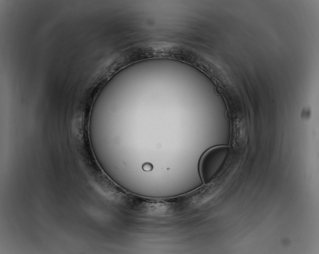 X0000101150698200807071150