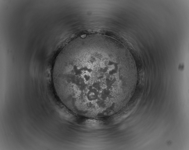 X0000101150699200807071150