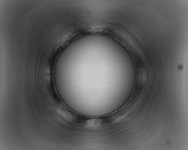 X0000101150700200807071150