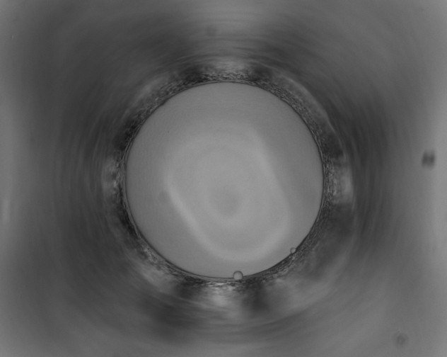 X0000101150701200807071150