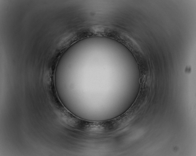 X0000101150702200807071150