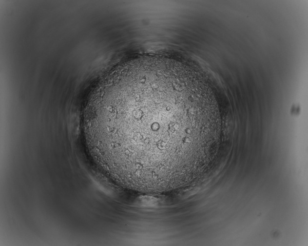 X0000101150703200807071150