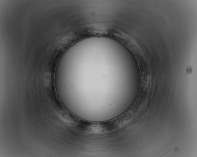 X0000101150704200807071150