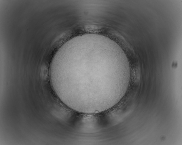 X0000101150705200807071150