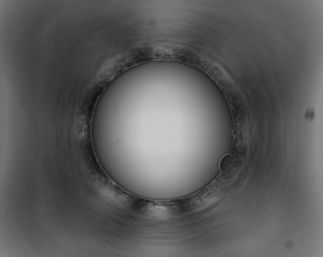 X0000101150706200807071150