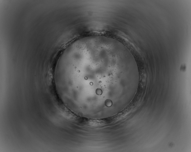 X0000101150707200807071150