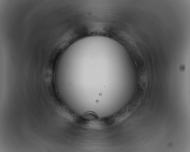 X0000101150708200807071150