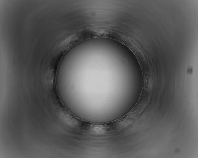 X0000101150710200807071149