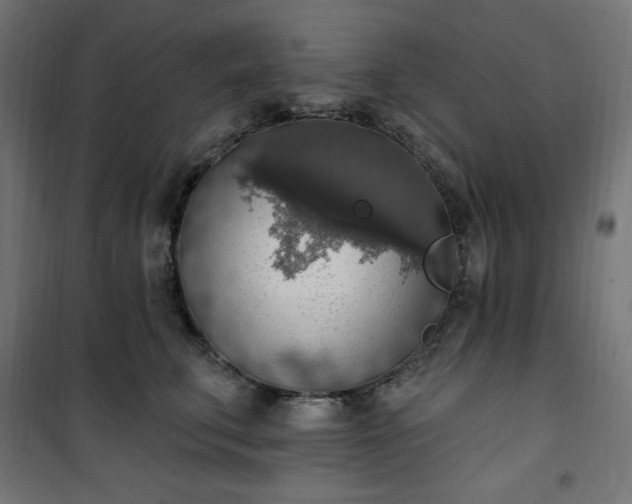 X0000101150711200807071149