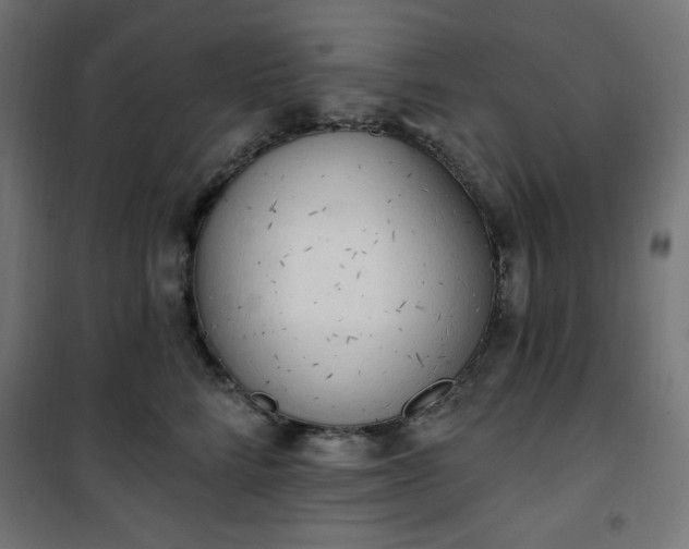 X0000101150712200807071149