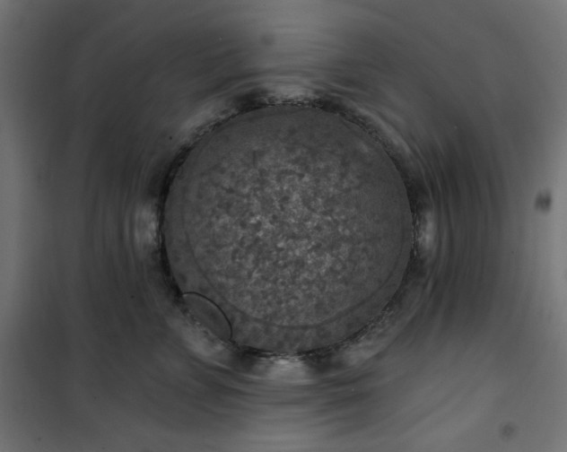 X0000101150715200807071149