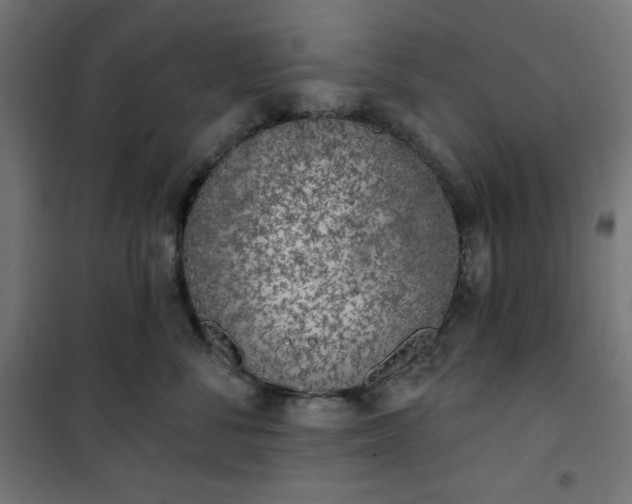 X0000101150716200807071149