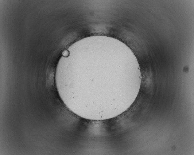 X0000101150717200807071149